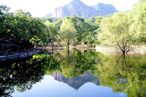 20190520541446.jpg 3.jpg