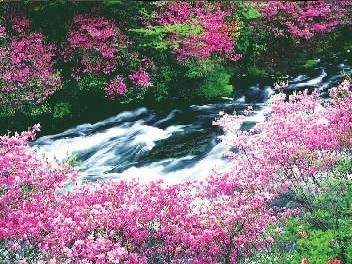 20190603813923.jpg 20190603813923.jpg