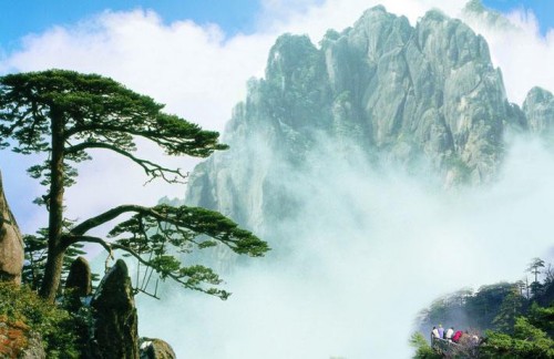 20190606155174.jpg 3.jpg