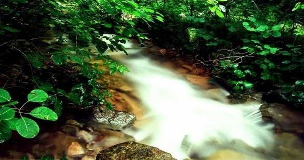 20200511965835.jpg 613x336c.jpg