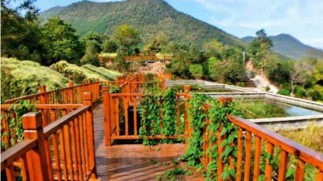 20200813933819.jpg 微信图片_20200813170641.jpg