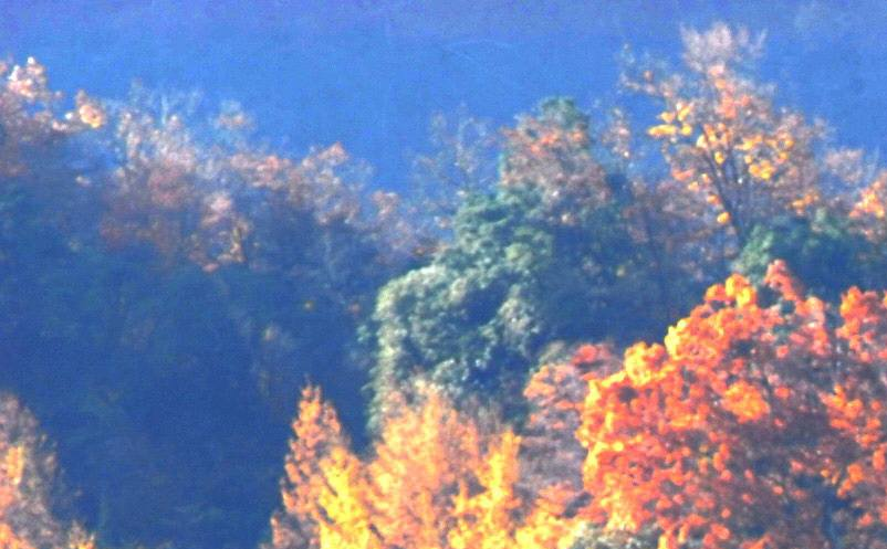 1640141765638473.png image.png