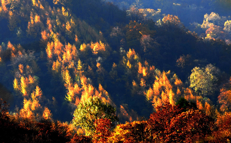 旅游景点存在的三个大问题 旅游景点存在的三个大问题