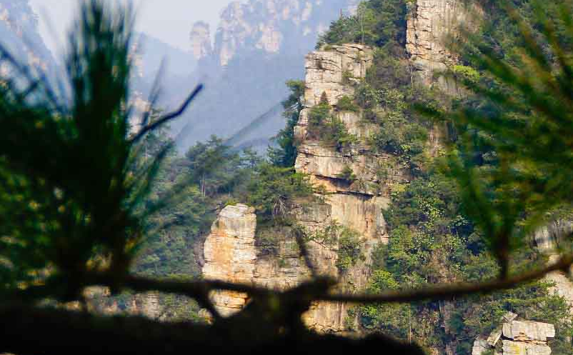 云旅游得到快速发展的原因 云旅游得到快速发展的原因