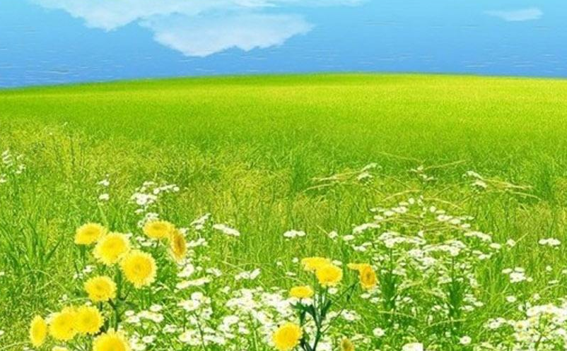 景区自媒体营销存在的问题 景区自媒体营销存在的问题