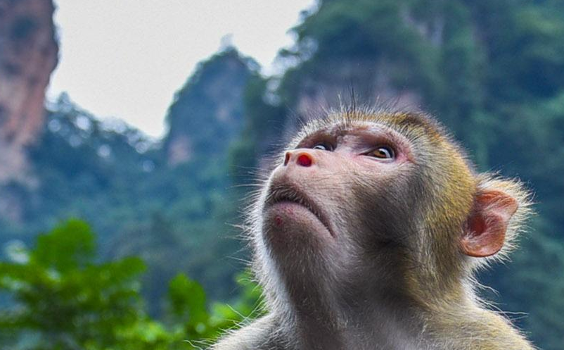 智慧旅游营销 智慧旅游营销