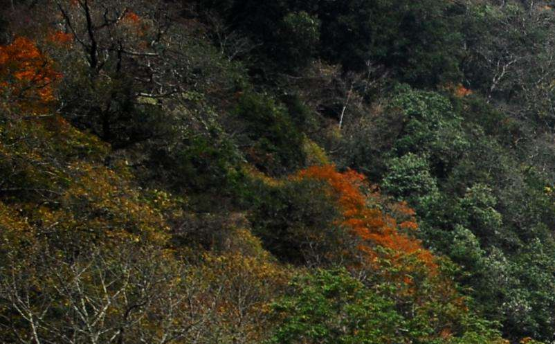 影视旅游目的地集合粉丝群体,助力景区精准营销 影视旅游目的地集合粉丝群体,助力景区精准营销