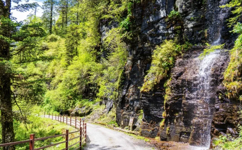 1649752118775149.png image.png