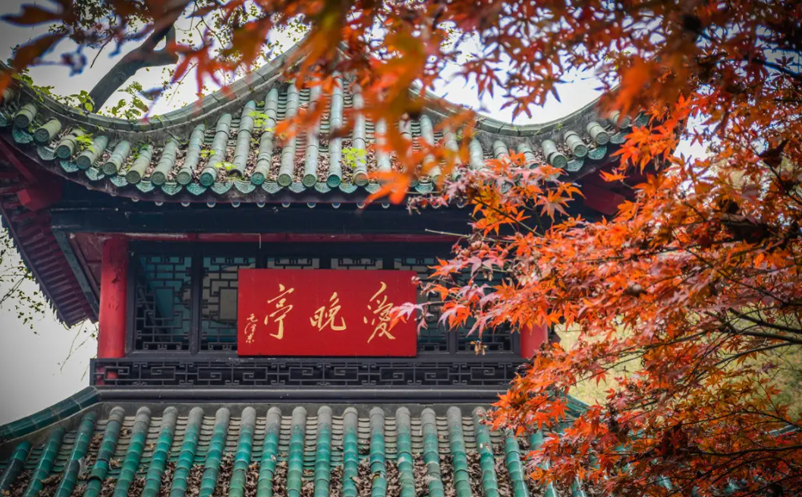 1650955383324724.png image.png