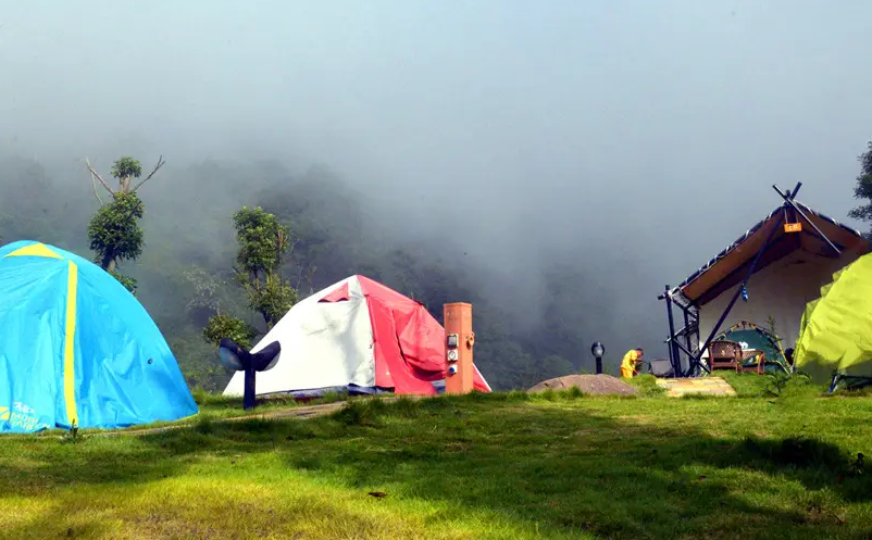 1652344980305330.png image.png