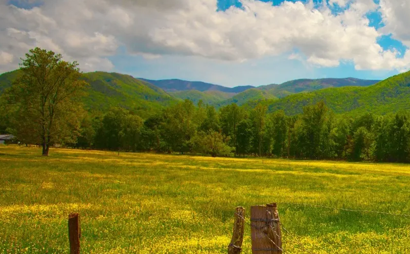 1652693089271990.png image.png