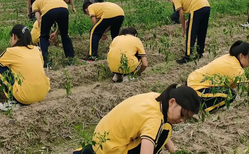 1652867614310529.png image.png