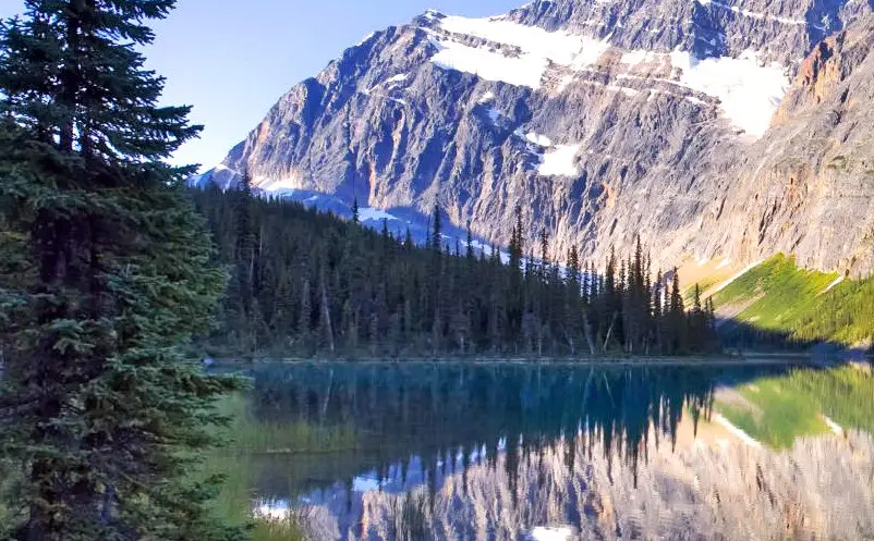 1653374860988023.png image.png