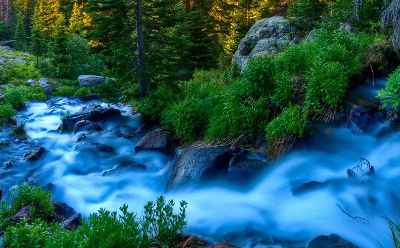 1653374888971851.png image.png