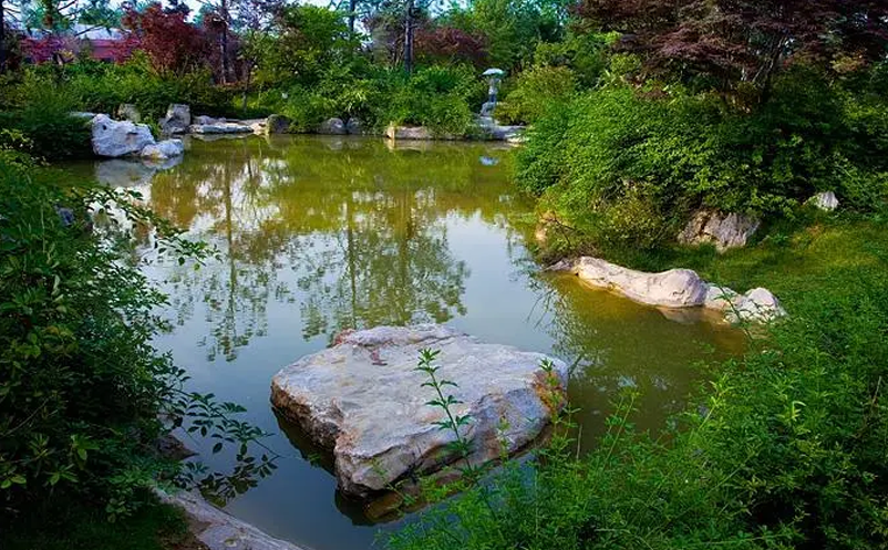 1655201085716950.png image.png