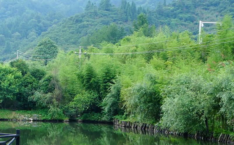 1655954765676661.png image.png