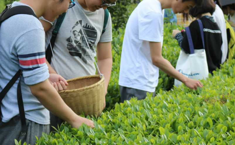 1657161500364594.png image.png