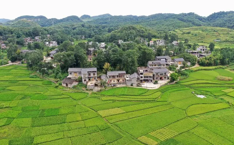 1658307161205175.png image.png