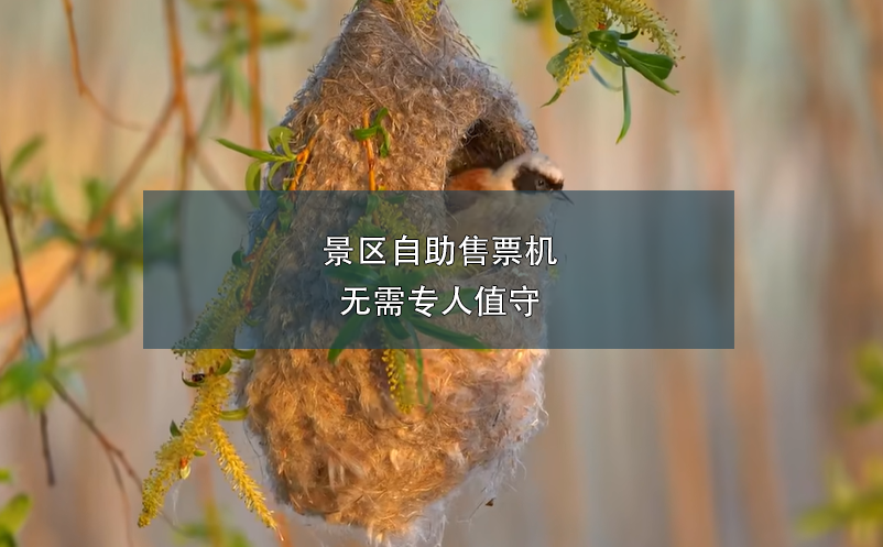 1717654339282920.png image.png